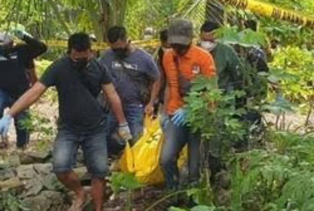 Hutan