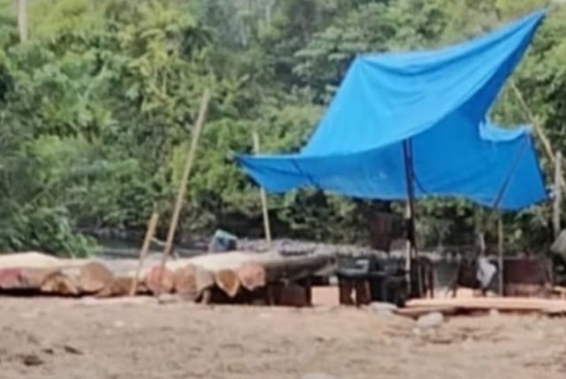 Lindung