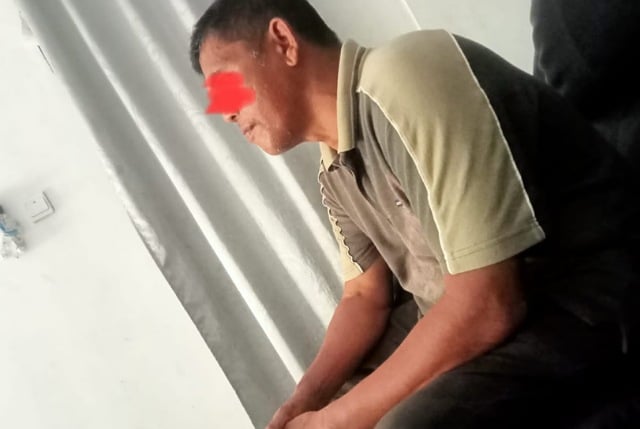 Penebangan
