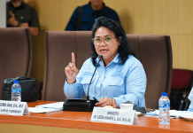 Anita Legislator Asal Kupang, Kecewa dengan Disdik NTT Anita
