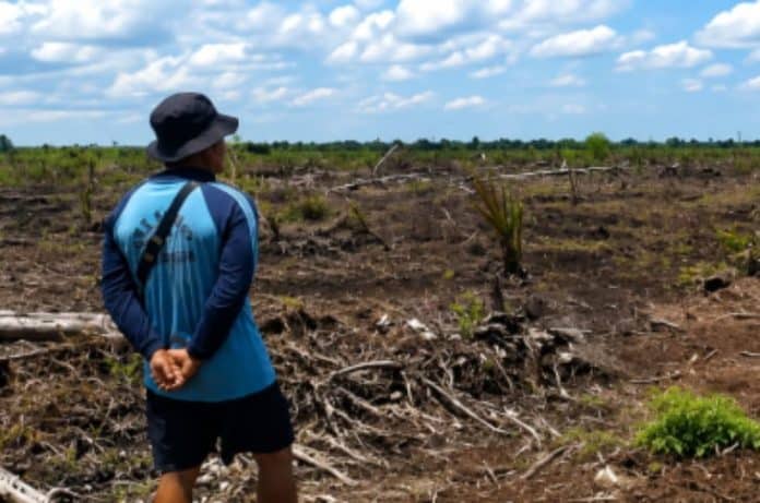 Buka Kawasan Hutan Tak Berizin Jadi Polemik Hutan